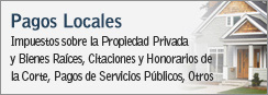 Pagos Locales - Impuestos sobre la Propiedad Privada y Bienes Races, Citaciones y Honorarios de la Corte, Pagos de Servicios Pblicos, Otros Pagos Locales